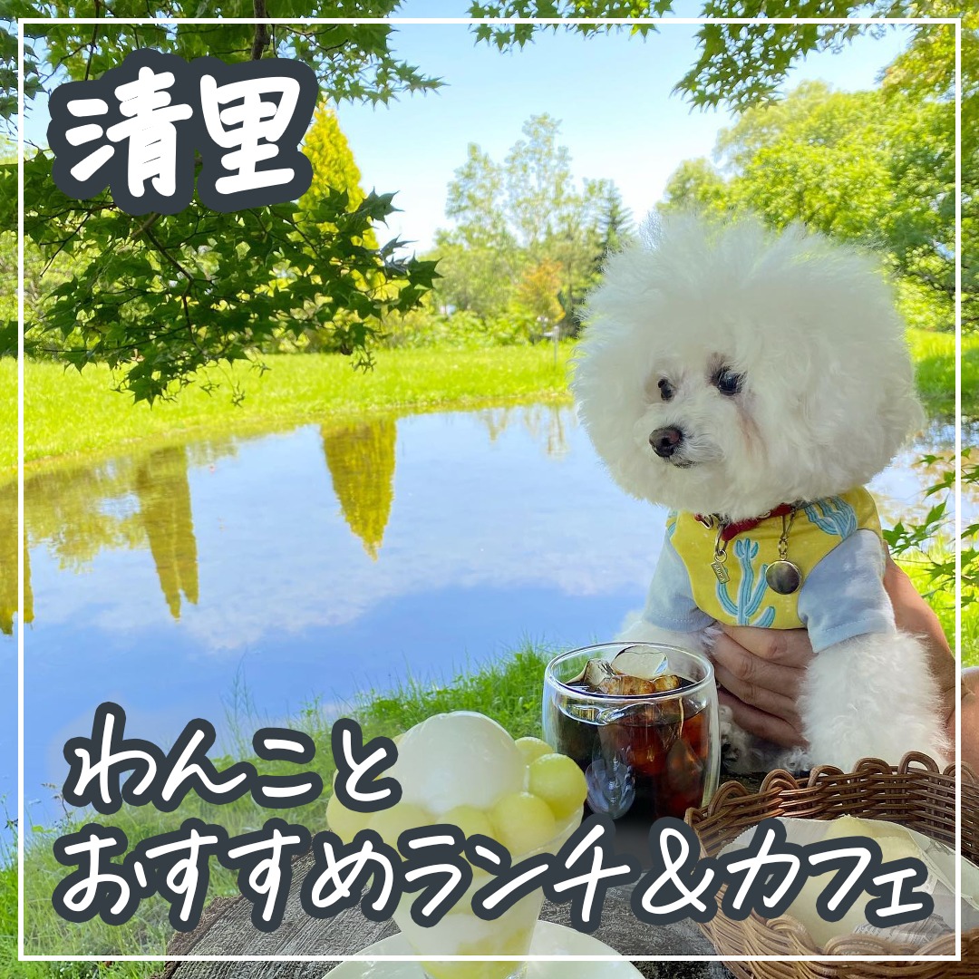 清里 わんことおすすめランチ＆カフェ