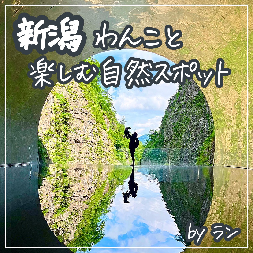 新潟 わんこと楽しむ自然スポット