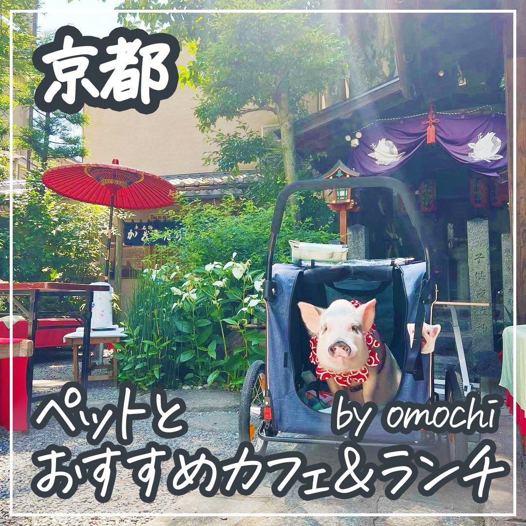 京都ペットとおすすめカフェ＆ランチ