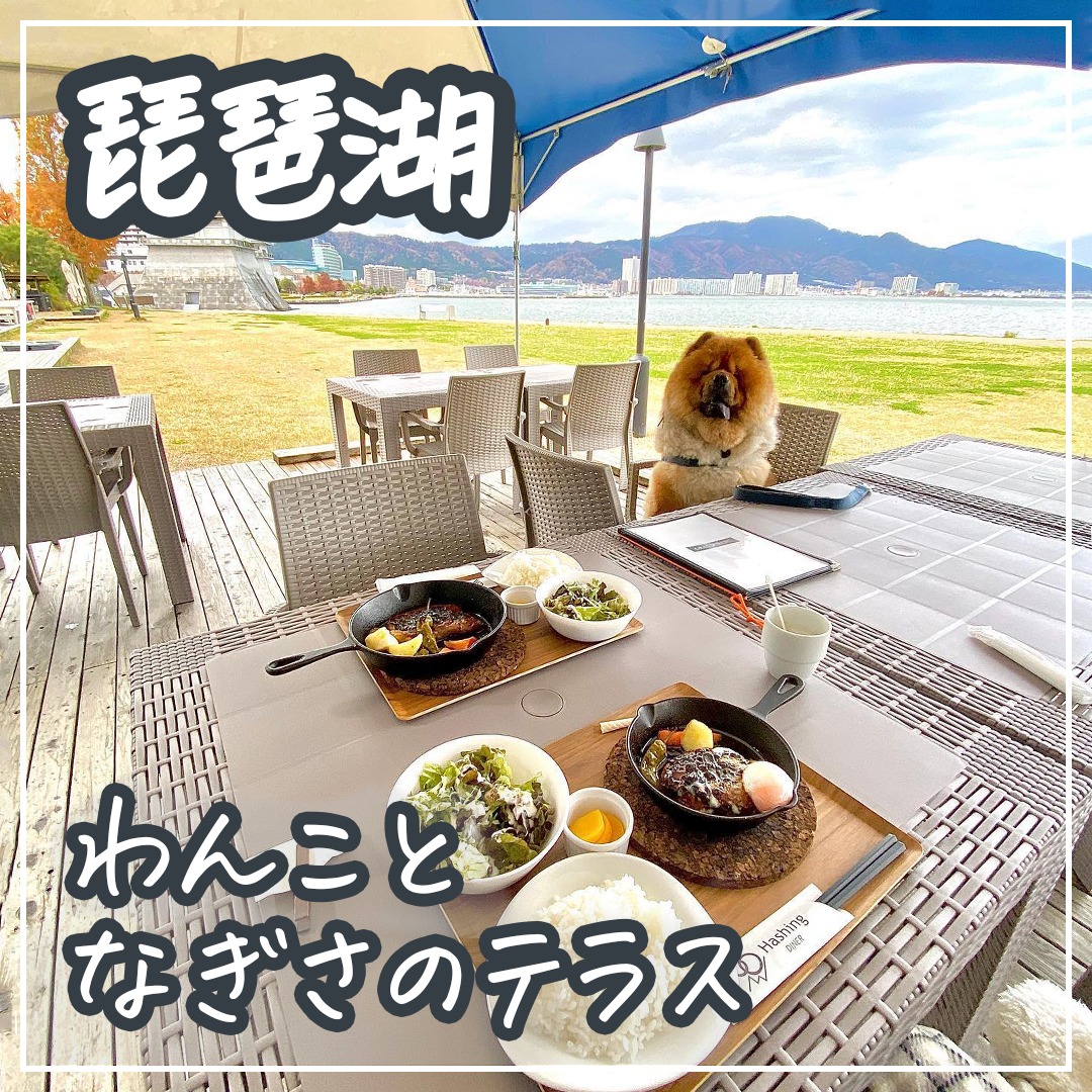 琵琶湖 わんことなぎさのテラス