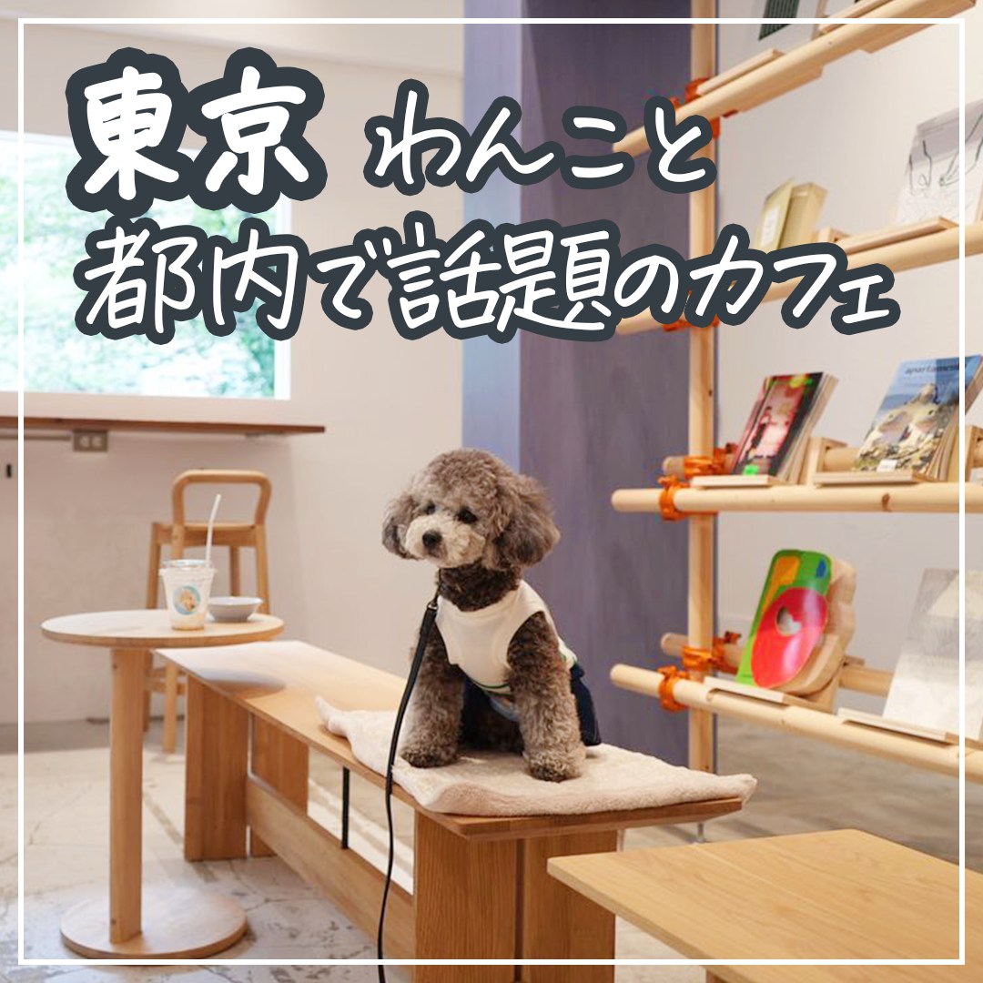 東京 わんこと都内で話題のカフェ