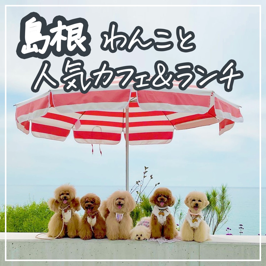 島根 わんこと人気カフェ＆ランチ