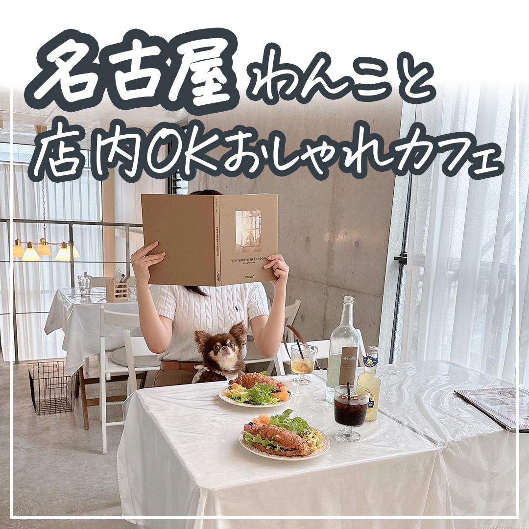 名古屋 わんこと店内OKおしゃれカフェ