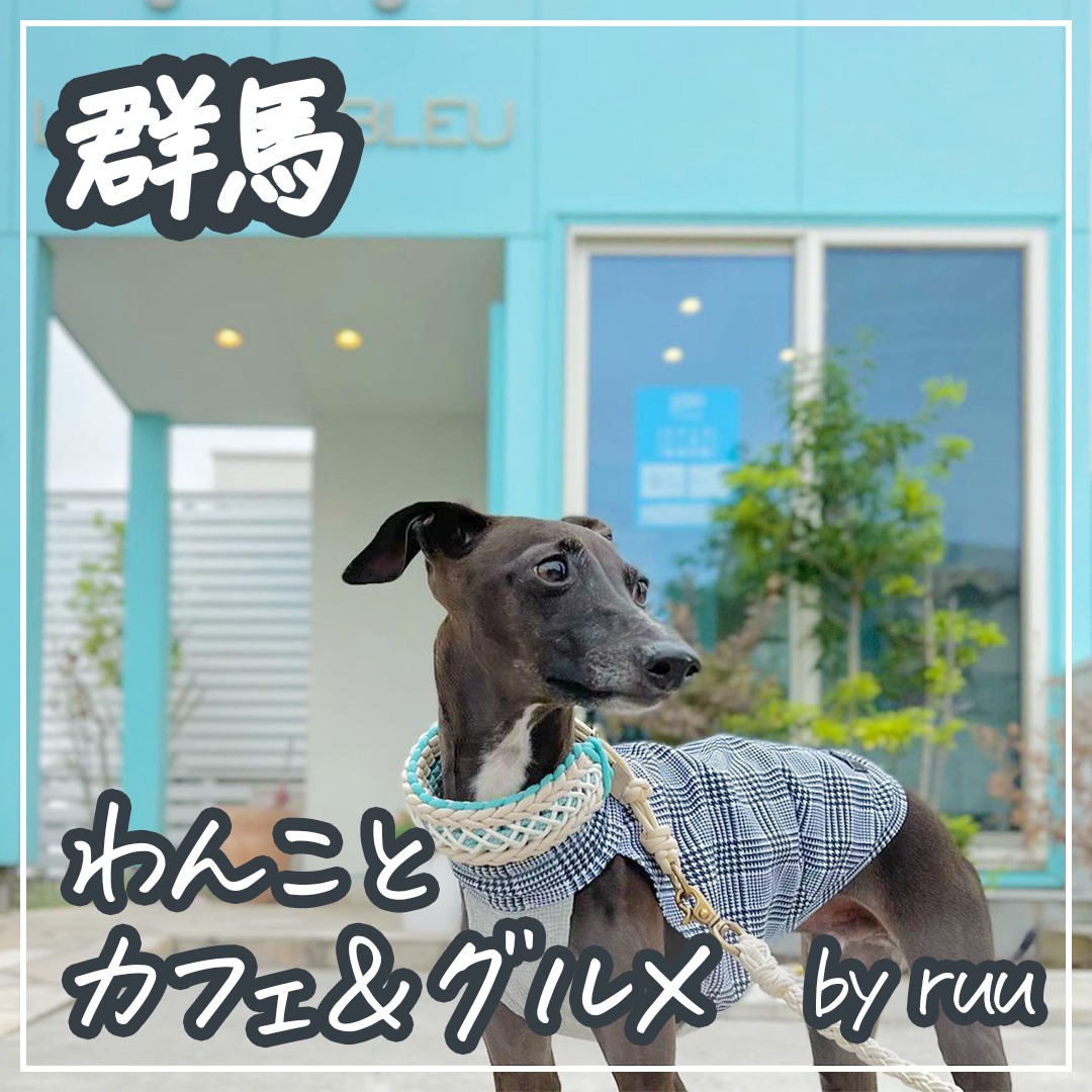 群馬 わんことおすすめカフェ＆グルメ！