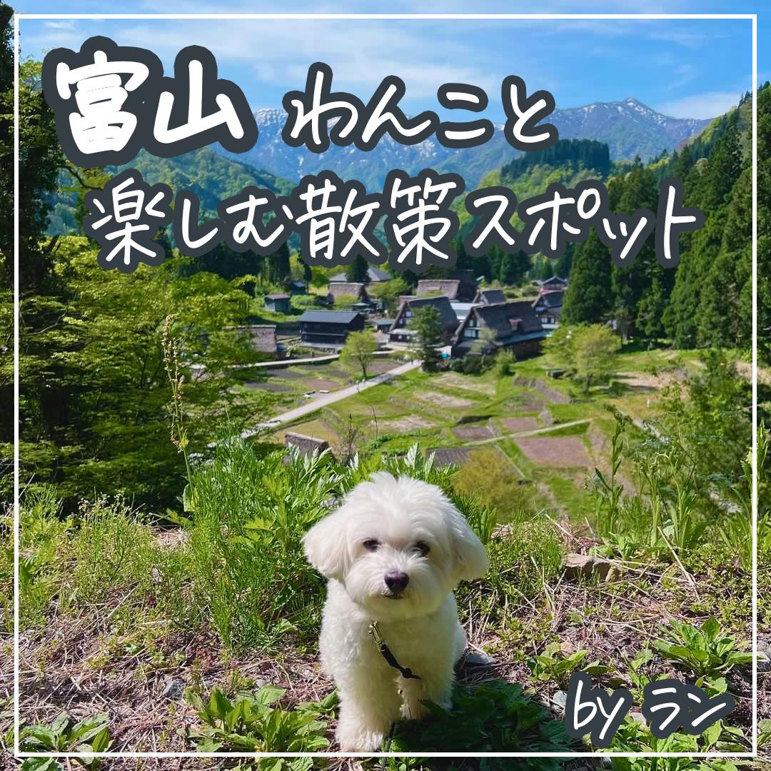 富山 わんこと楽しむ散策スポット