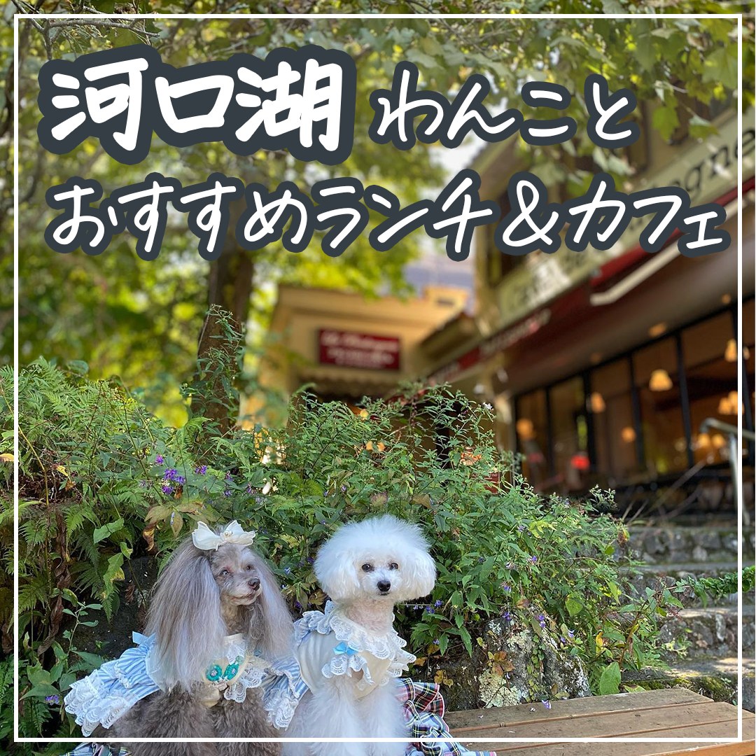 河口湖わんことおすすめランチ＆カフェ