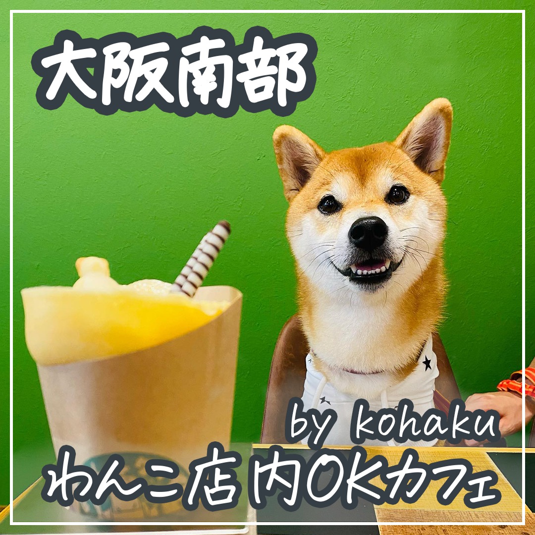 大阪南部 わんこ店内OKカフェ