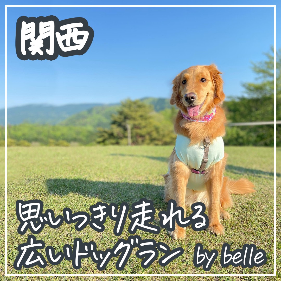 関西 思いっきり走れる広いドッグラン by belleちゃん