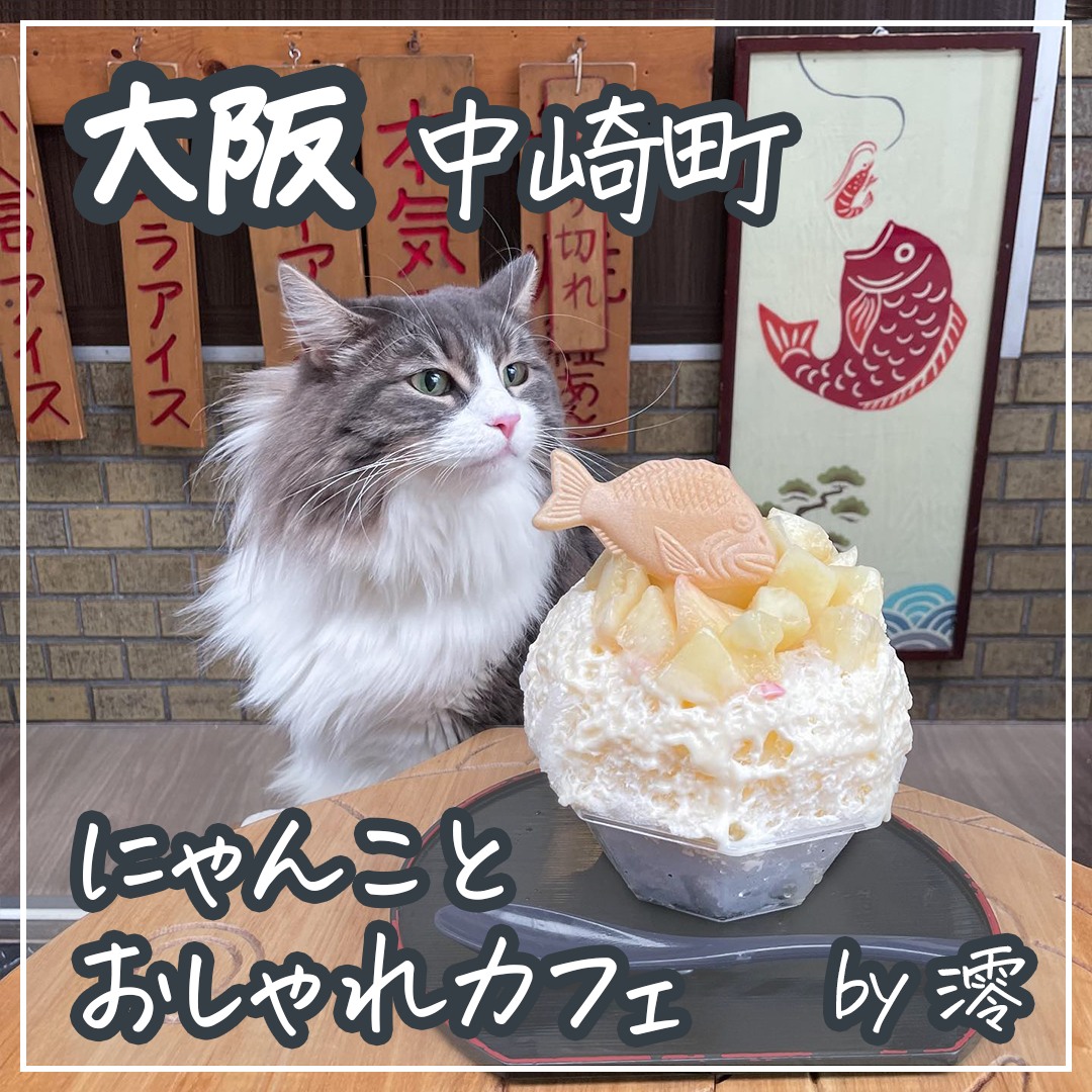 大阪 中崎町 にゃんことおしゃれカフェ