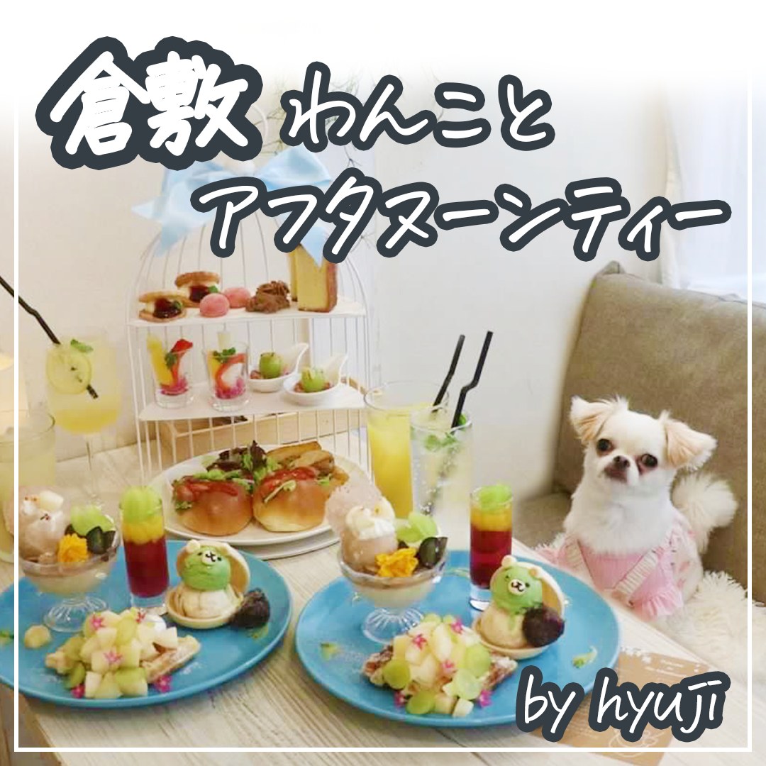 倉敷 わんことアフタヌーンティー　