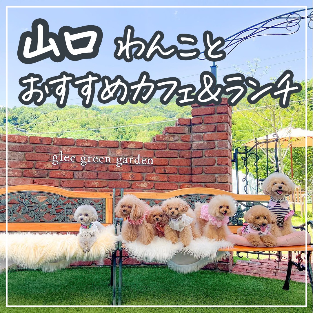 山口 わんことおすすめカフェ＆ランチ