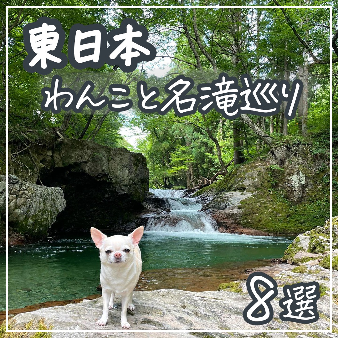 東日本 わんこと名滝巡り