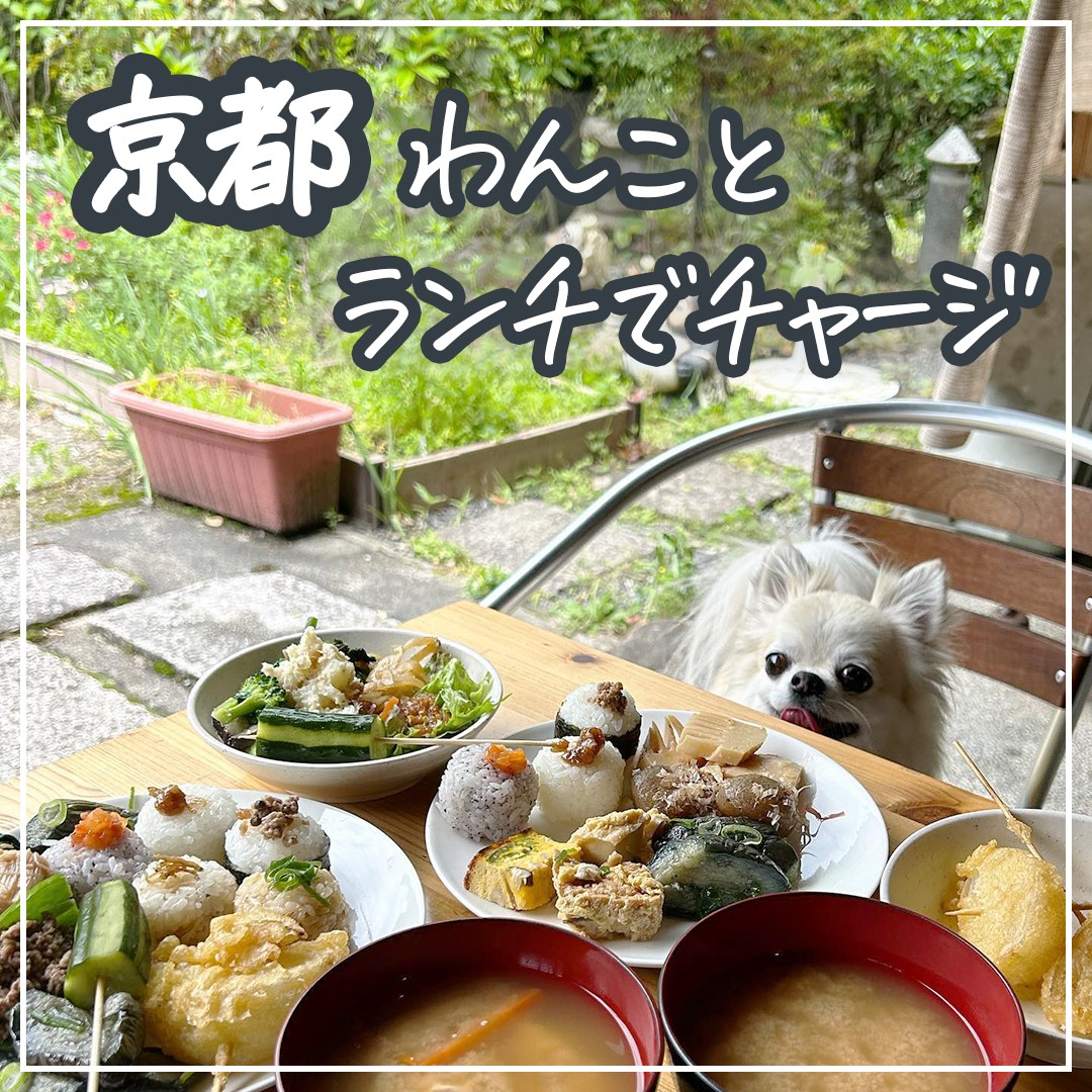 京都 わんことランチでチャージ！