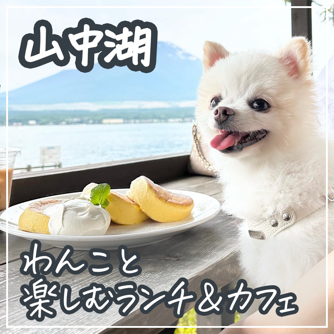 山中湖 わんこと楽しむランチ＆カフェ