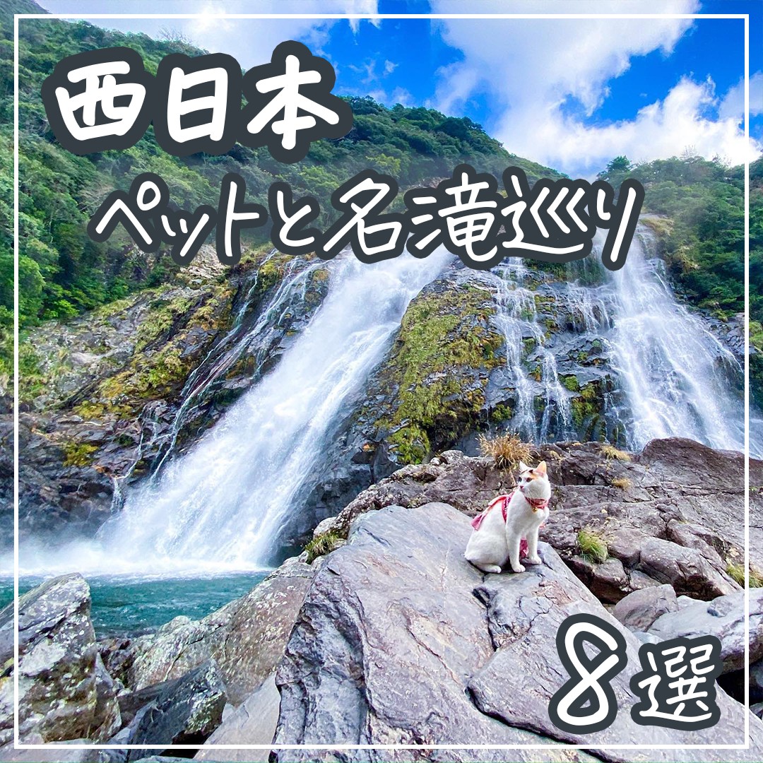 西日本 わんこと名滝巡り　まとめ！