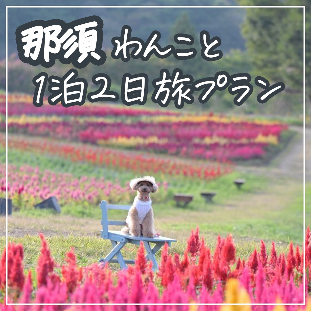 那須 わんこと1泊2日旅プラン