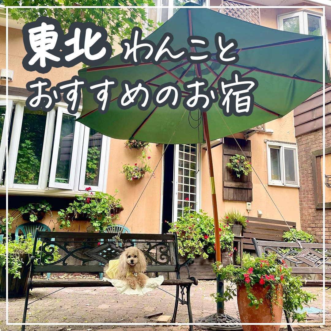 東北 わんことおすすめのお宿