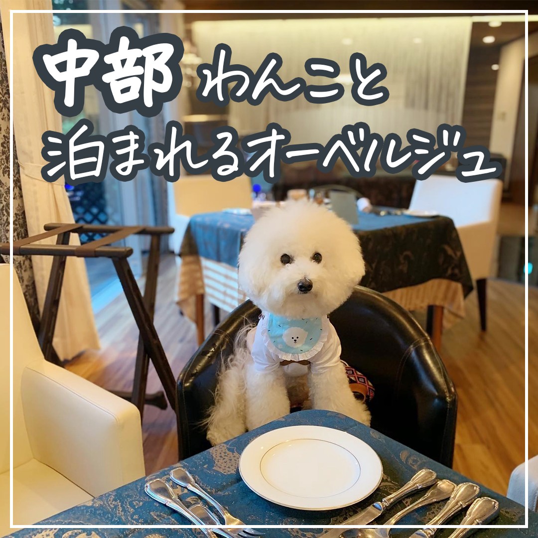 中部わんこと泊まれるオーベルジュ