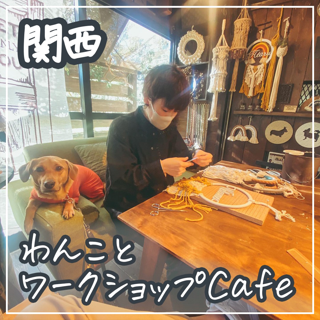 関西 わんことワークショップカフェ