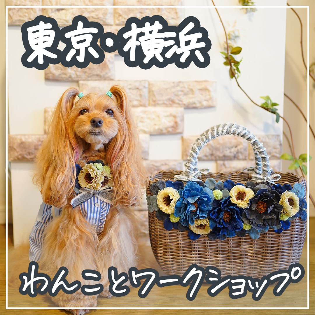 東京・横浜 わんことワークショップ