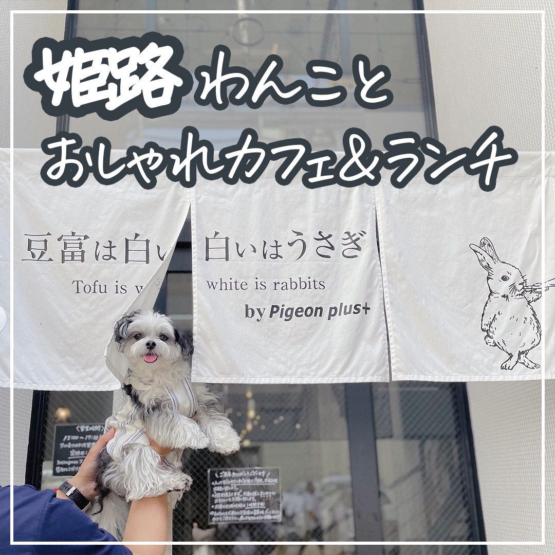 姫路 わんことおしゃれカフェ＆ランチ