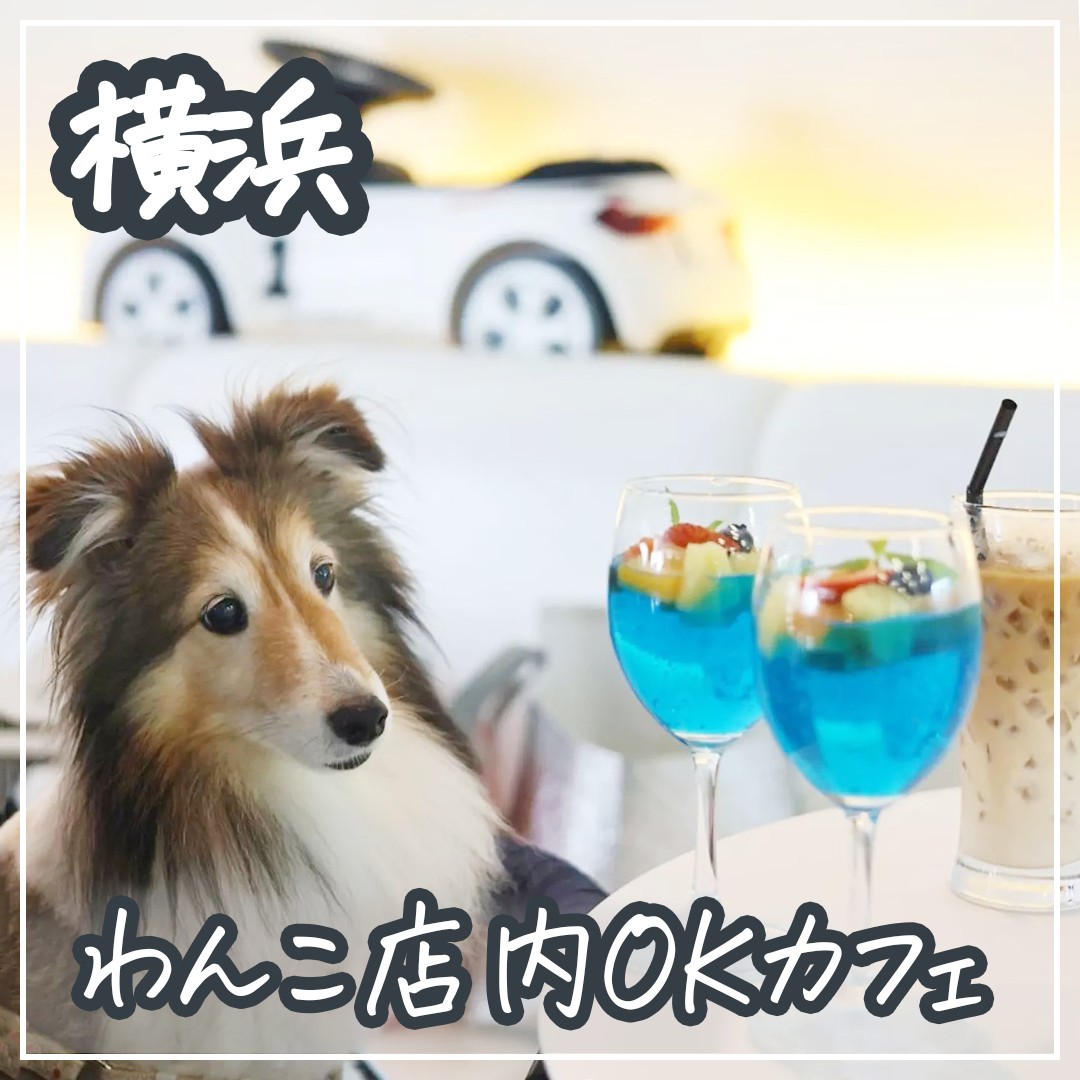横浜 わんこ店内OKカフェ