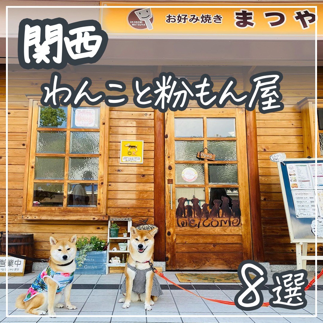 関西 わんこと粉もん屋 8選