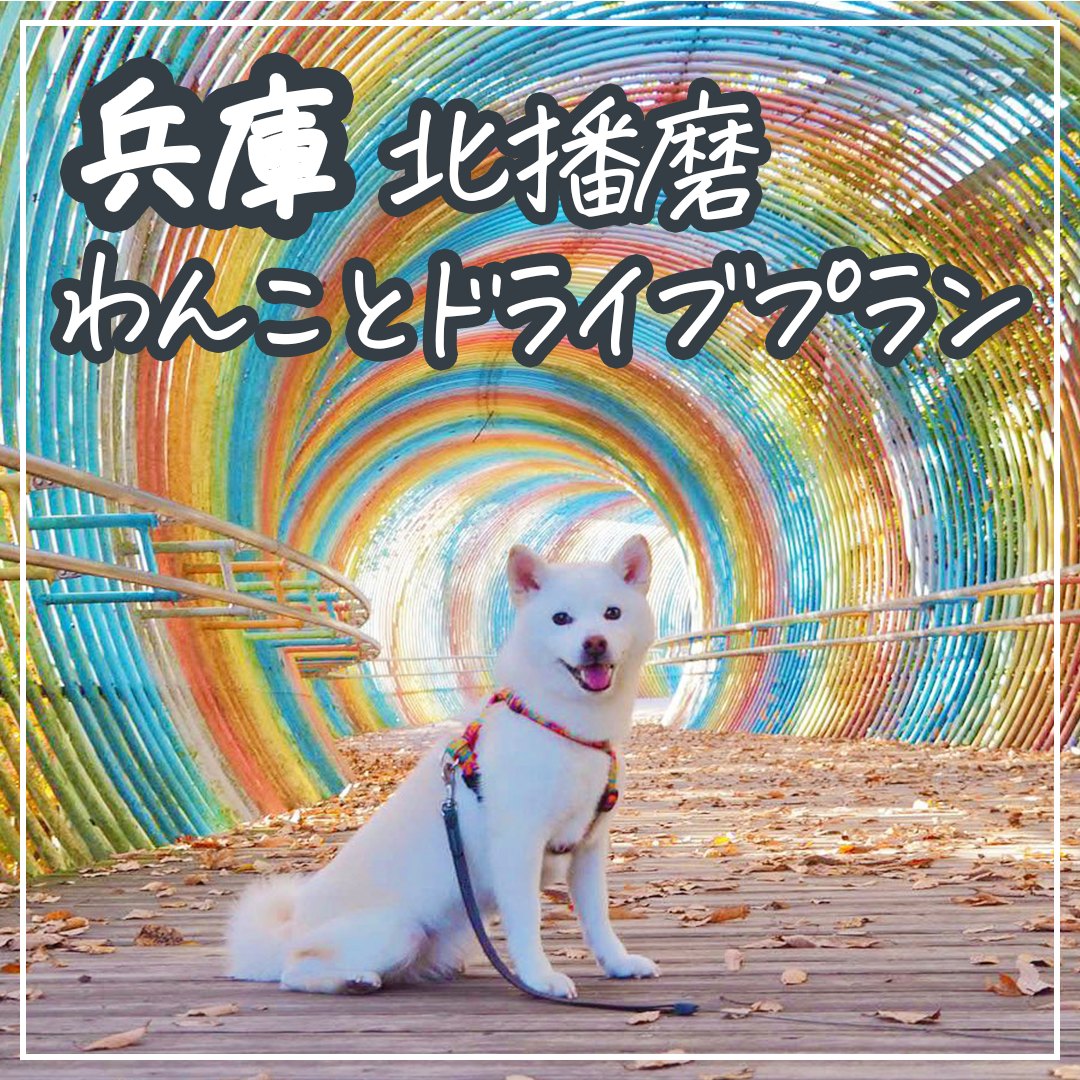 兵庫 北播磨 わんことドライブプラン