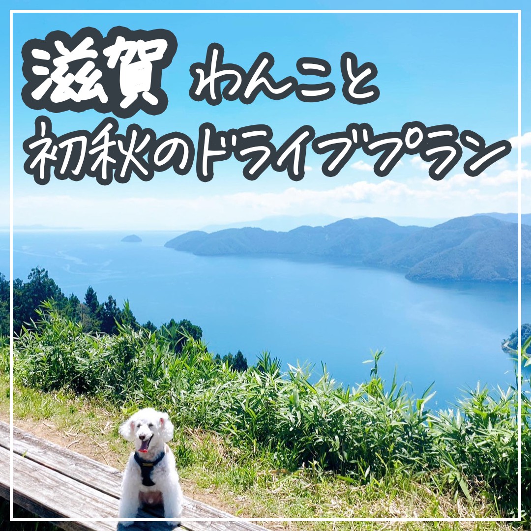 滋賀 わんこと初秋のドライブプラン