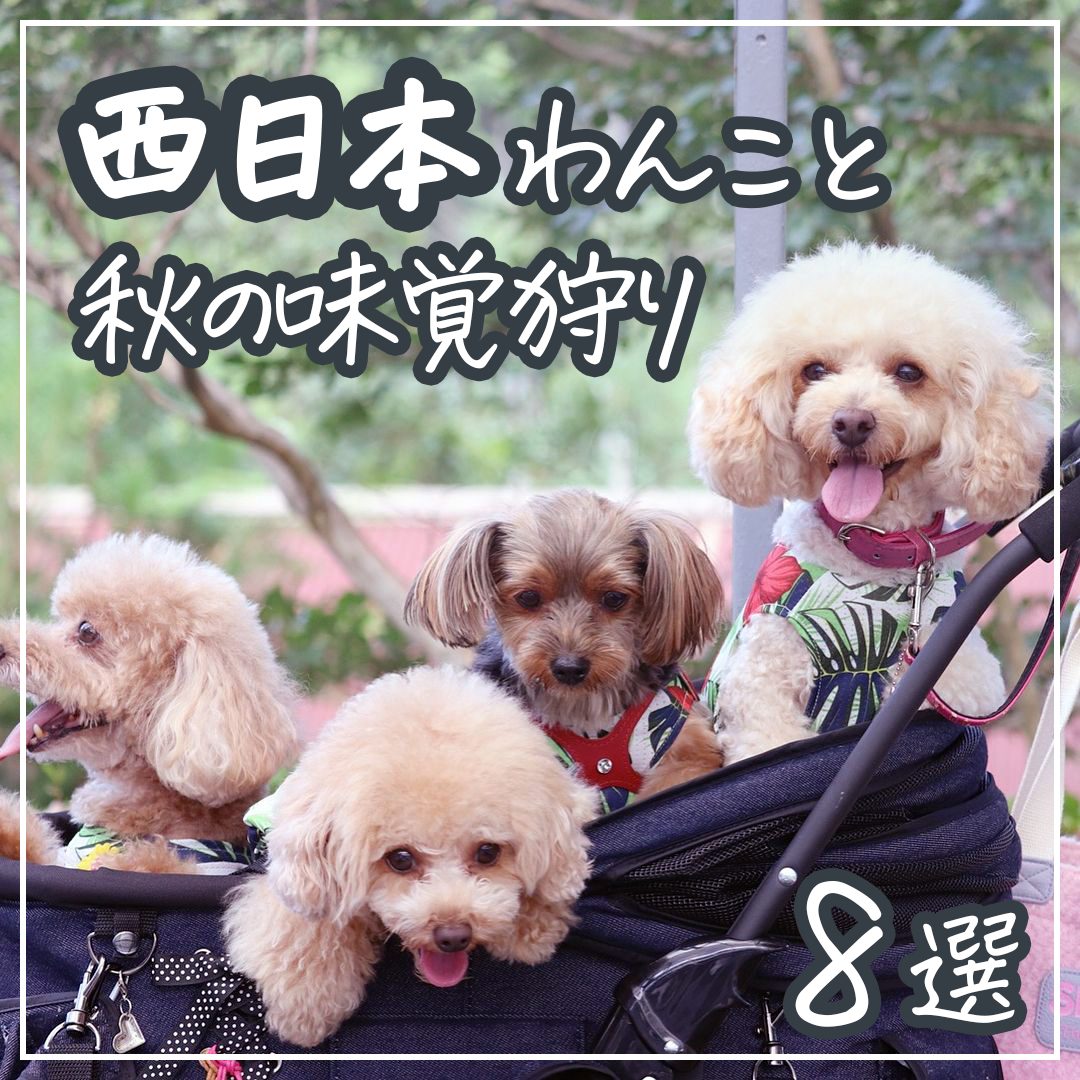 西日本 わんこと秋の味覚狩り