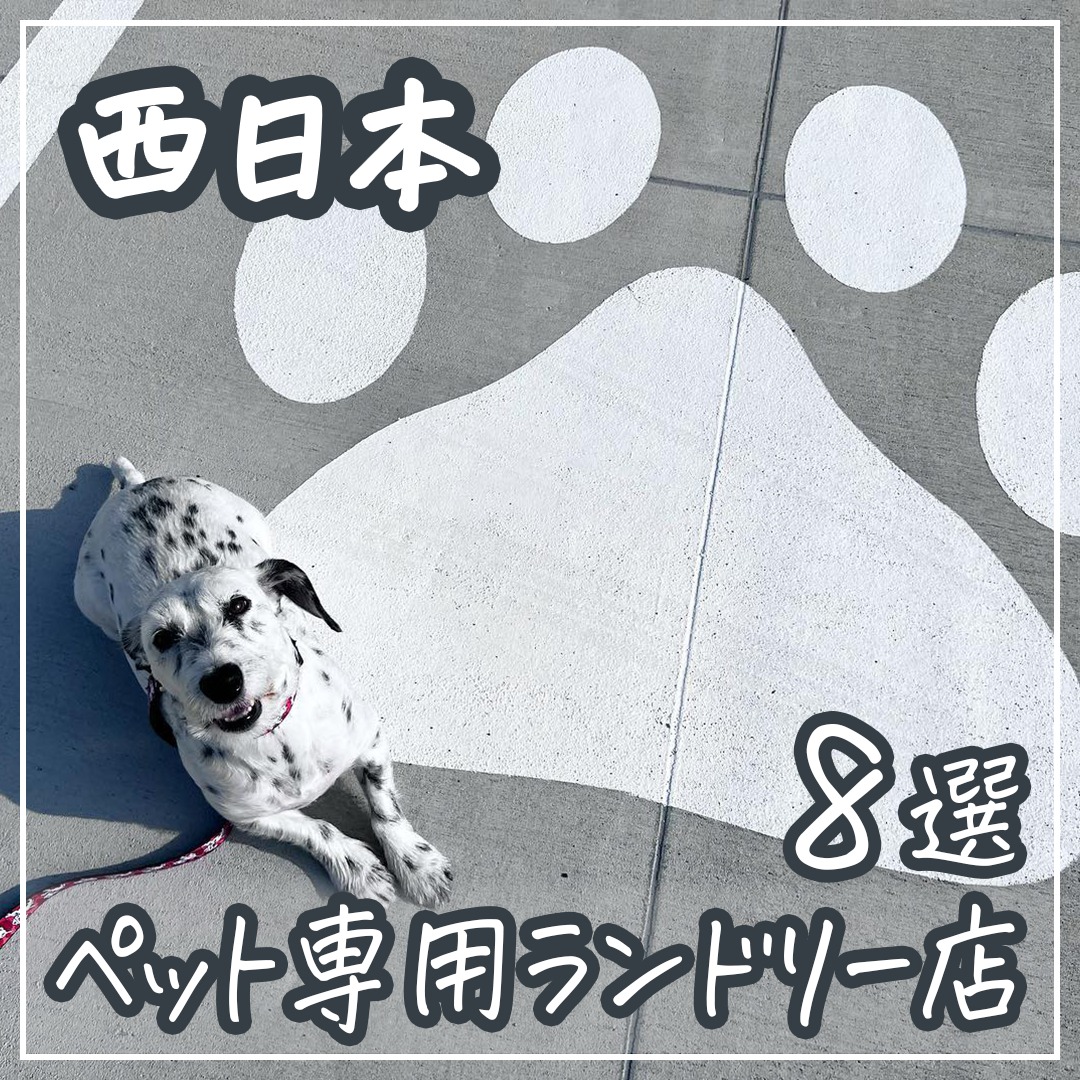 西日本 ペット専用ランドリー店 8選