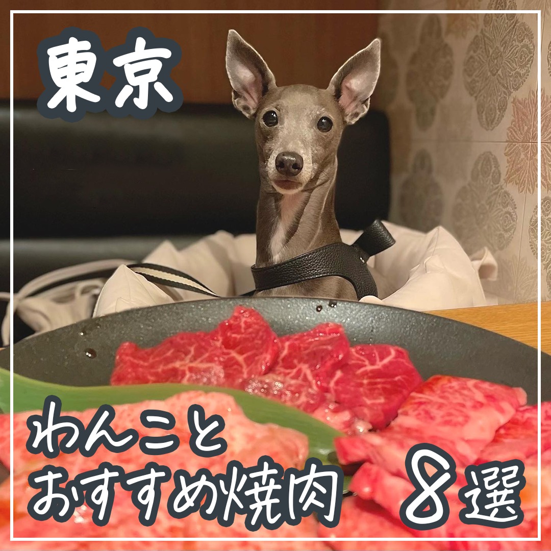 東京 わんことおすすめ焼肉 8選