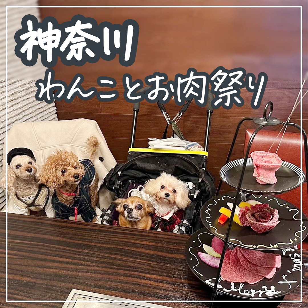 神奈川 わんことお肉祭り