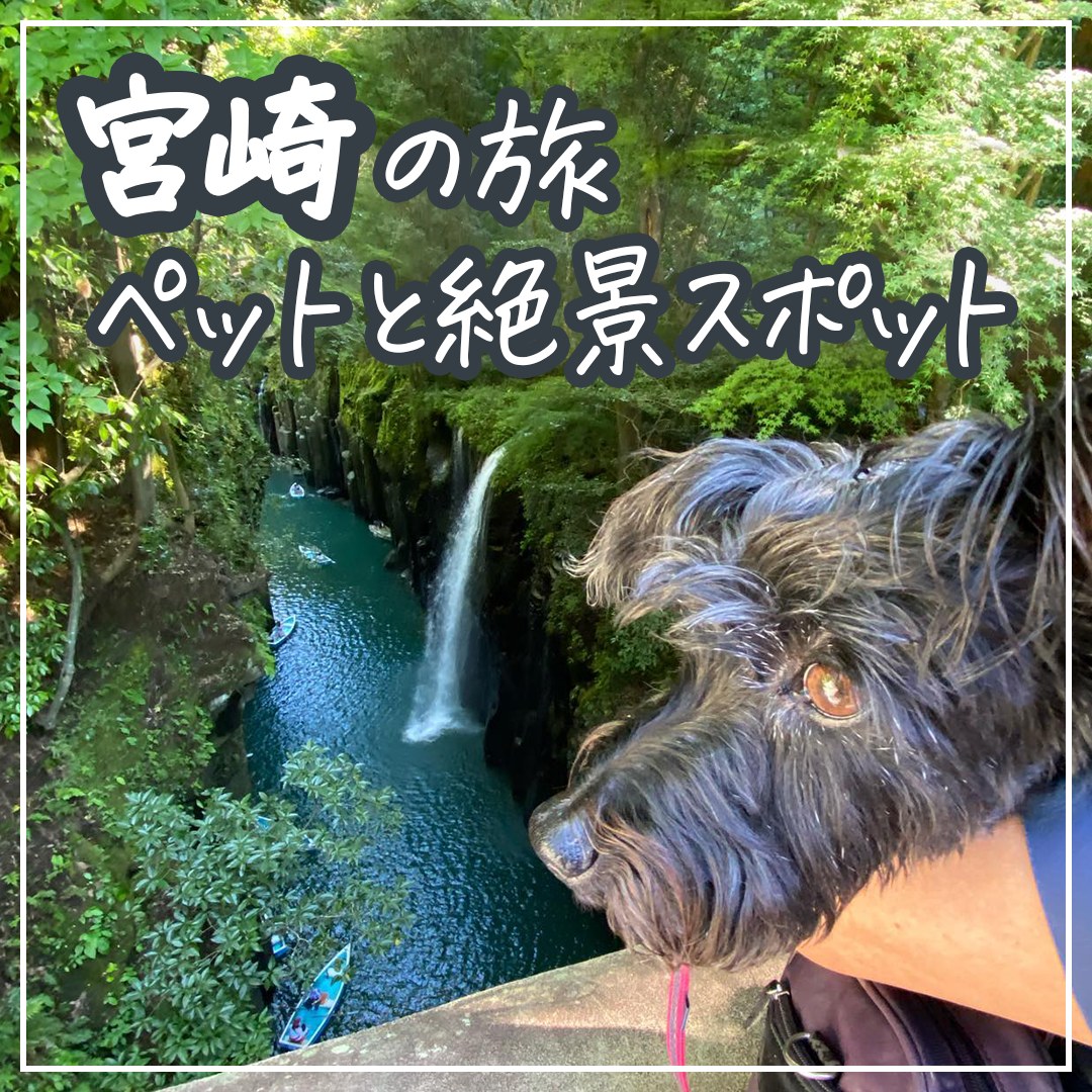 宮崎の旅 ペットと絶景スポット