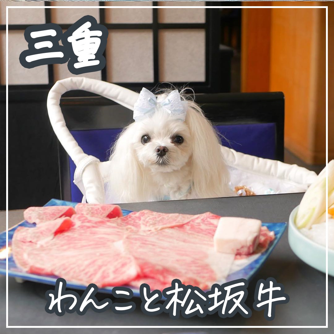 三重 わんこと松阪牛