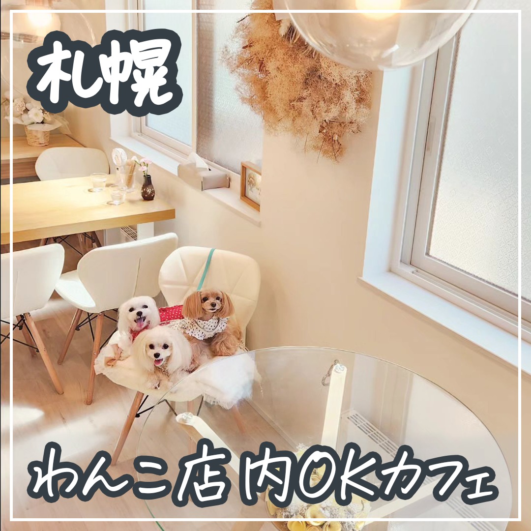 札幌わんこ店内OKカフェ
