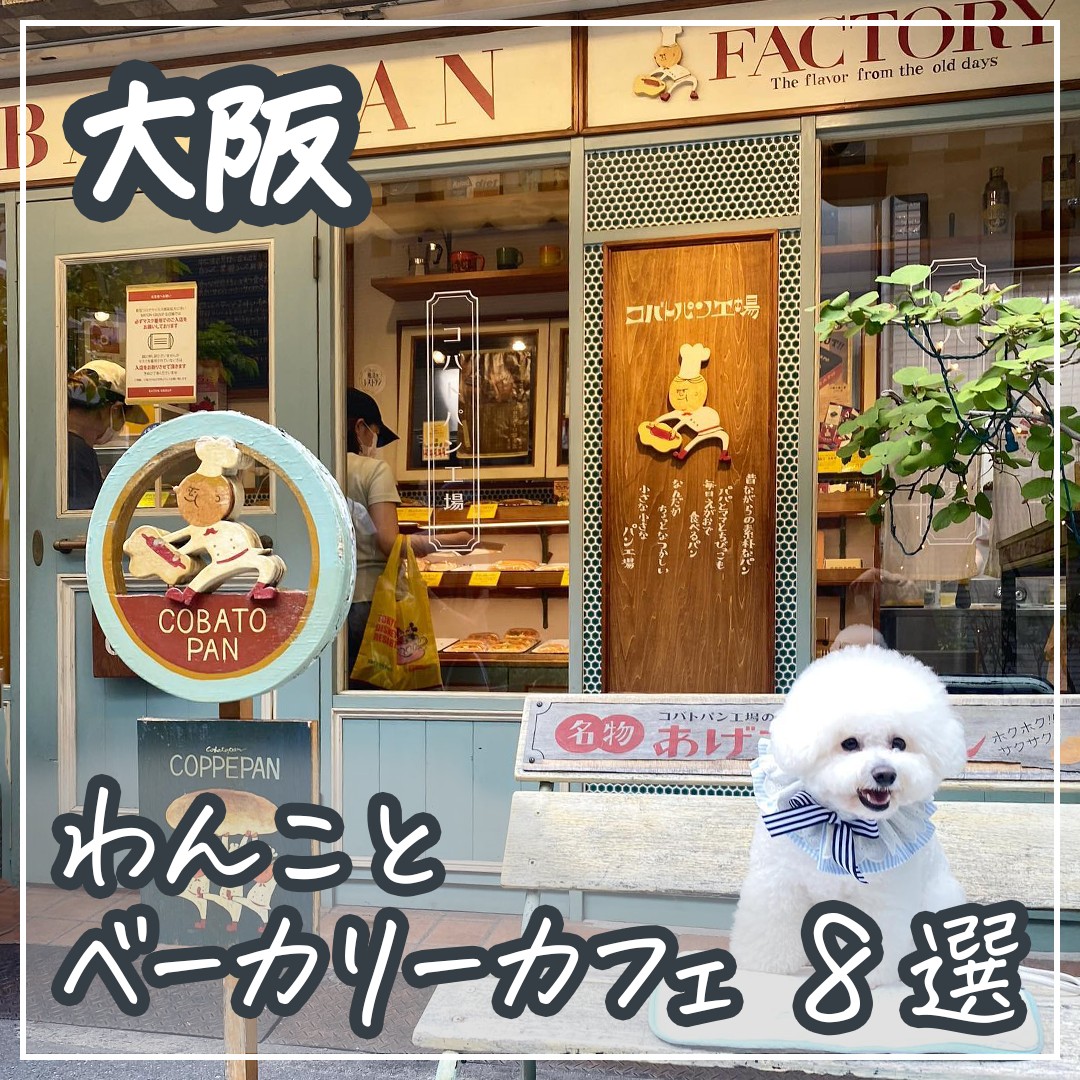 大阪 わんことベーカリーカフェ 8選