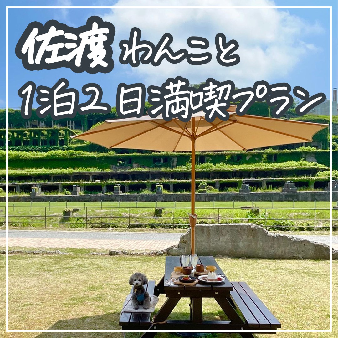 佐渡 わんこと1泊2日満喫プラン