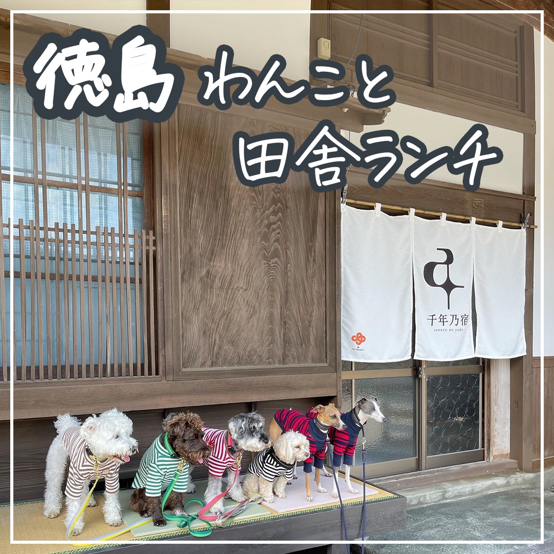 徳島 わんこと田舎ランチ