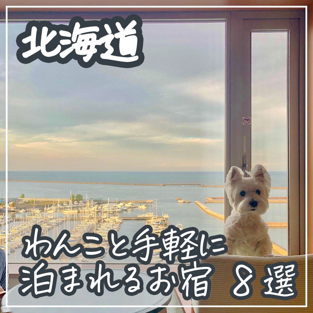 北海道 わんこと手軽に泊まれるお宿 8選
