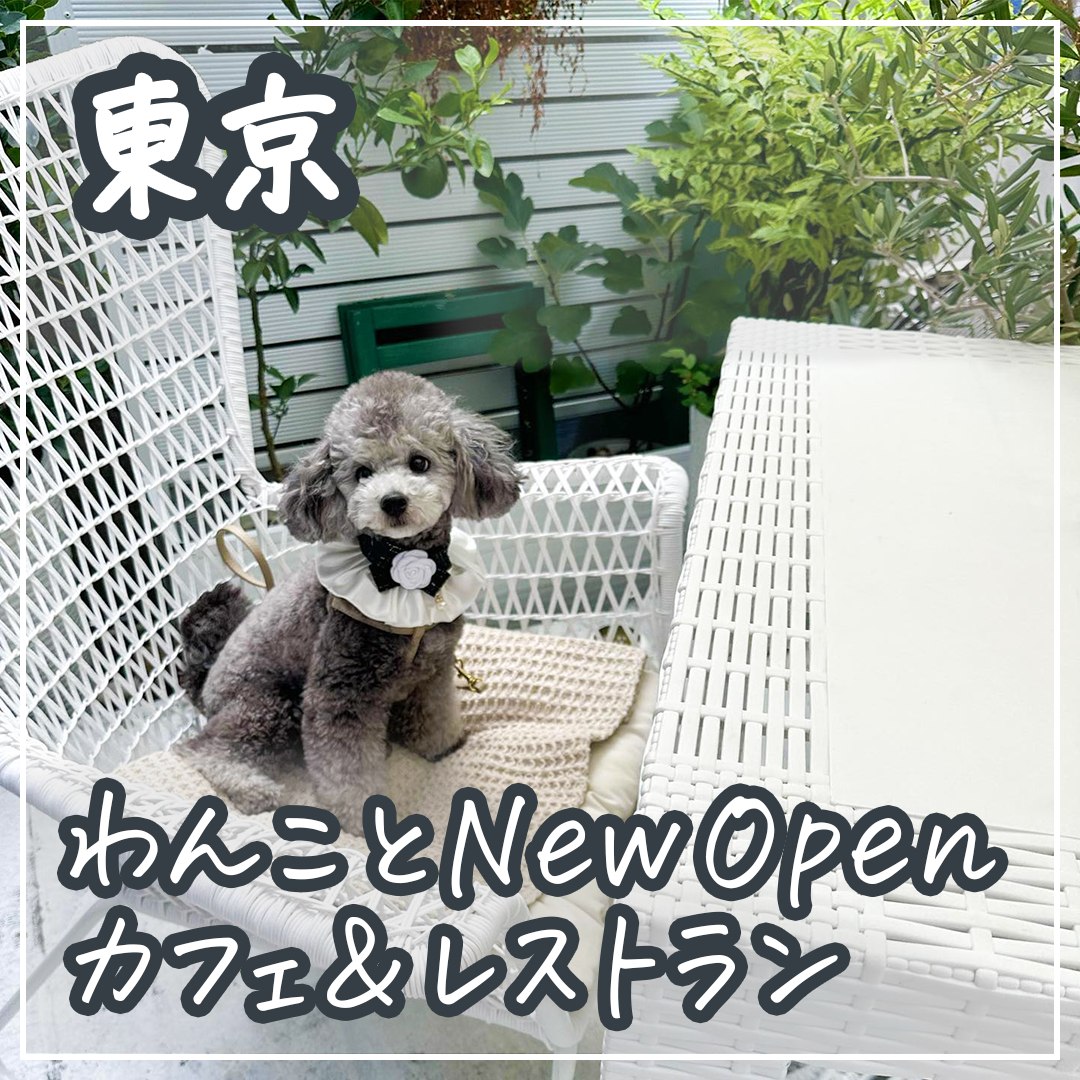 東京わんことNew Openカフェ＆レストラン