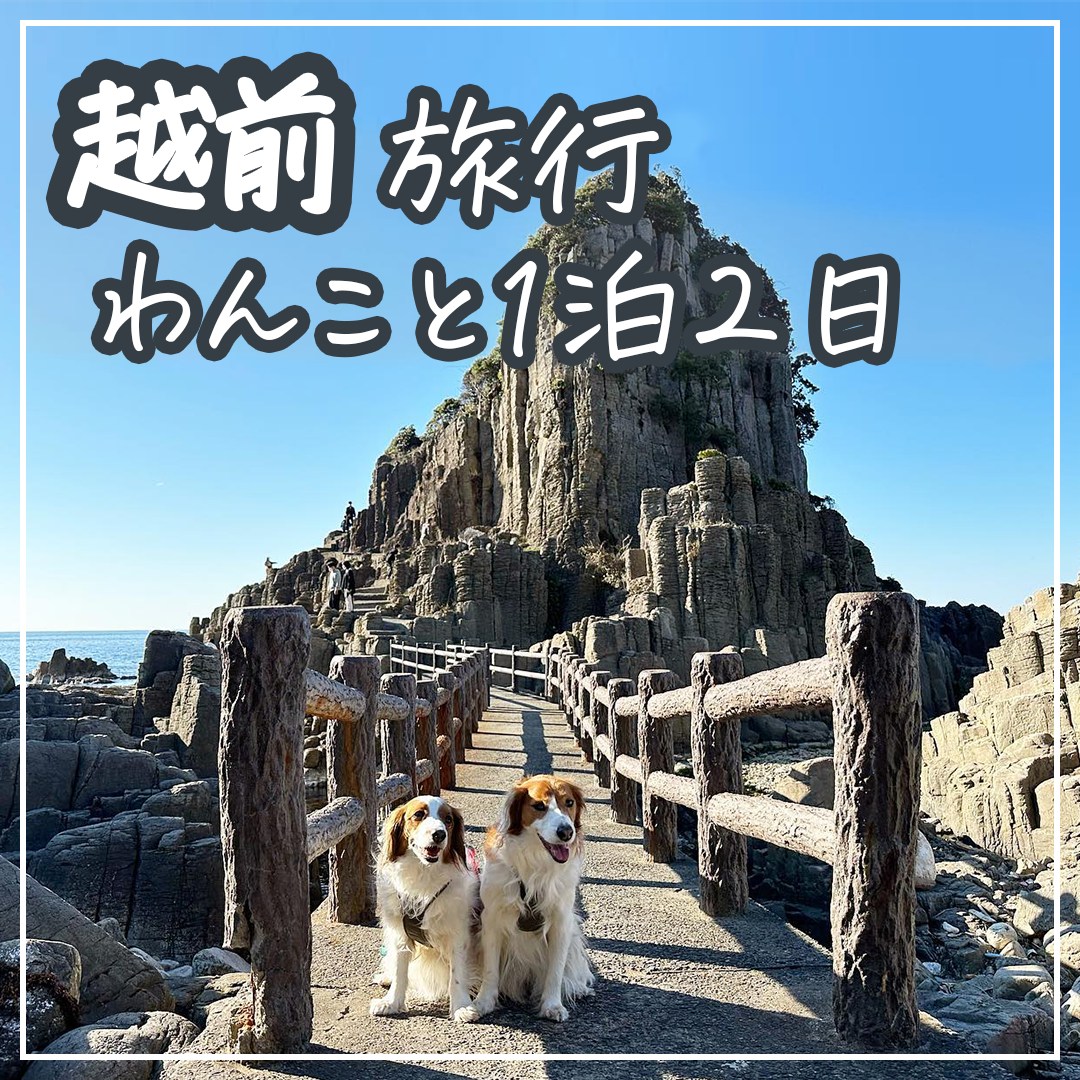 越前旅行 わんこと１泊２日
