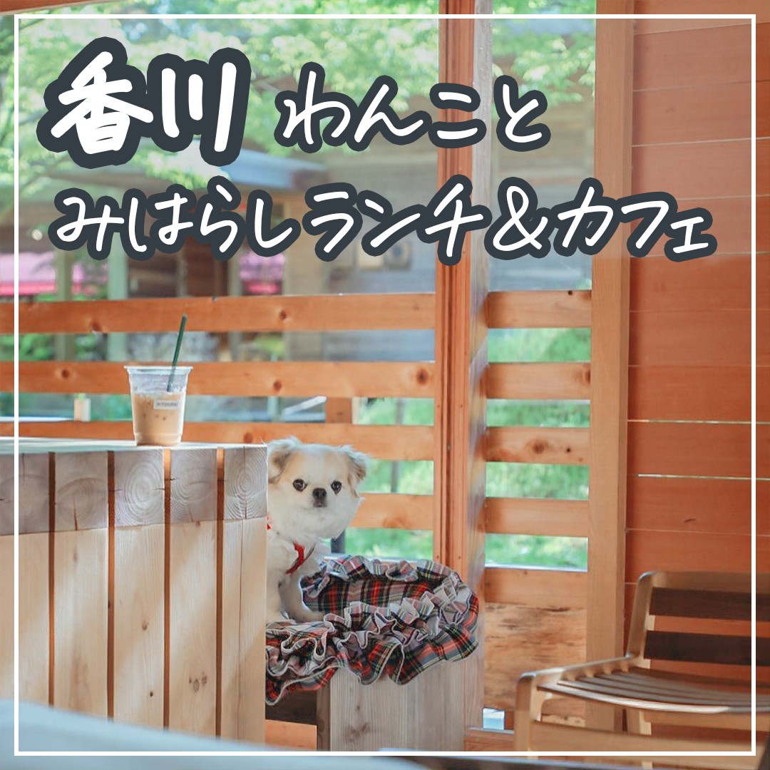 香川 わんことみはらしランチ＆カフェ