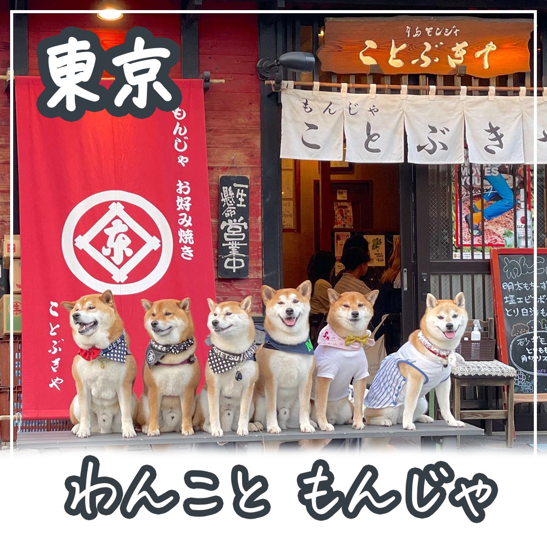東京 わんこともんじゃ