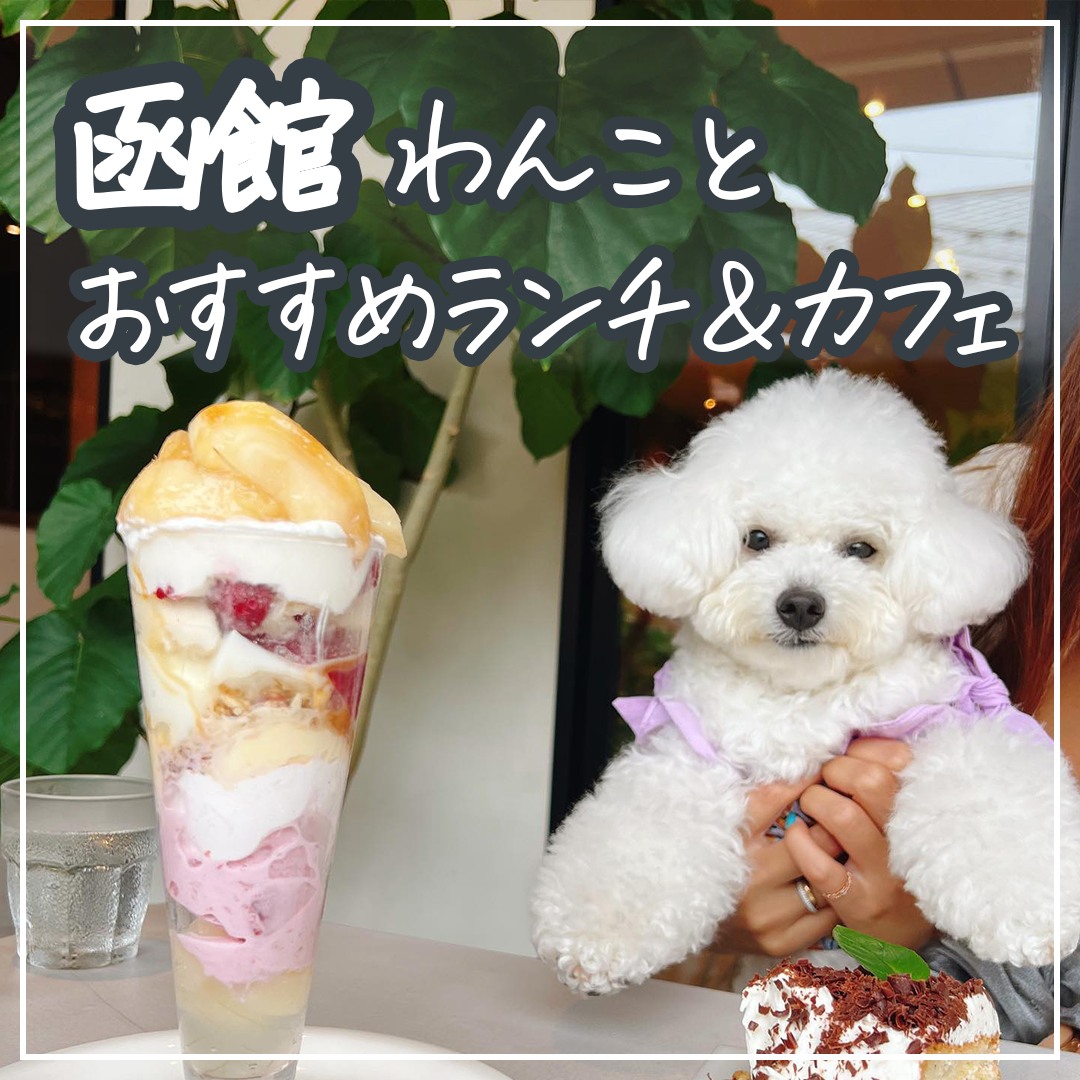 函館 わんことおすすめランチ＆カフェ