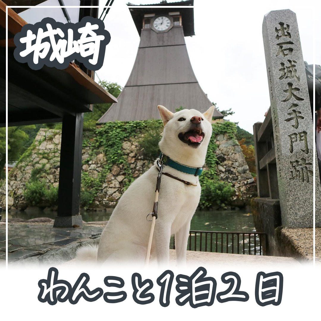 城崎 わんこと1泊2日