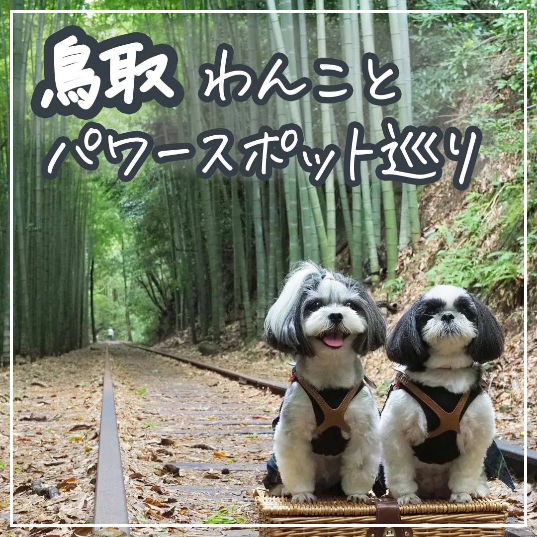 鳥取 わんことパワースポット巡り