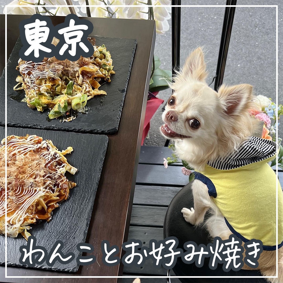 東京 わんことお好み焼き