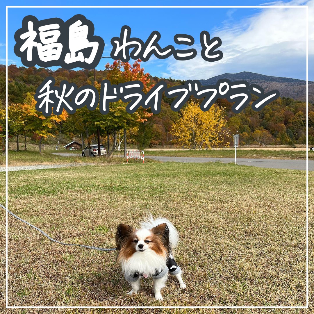 福島 わんこと秋のドライブプラン