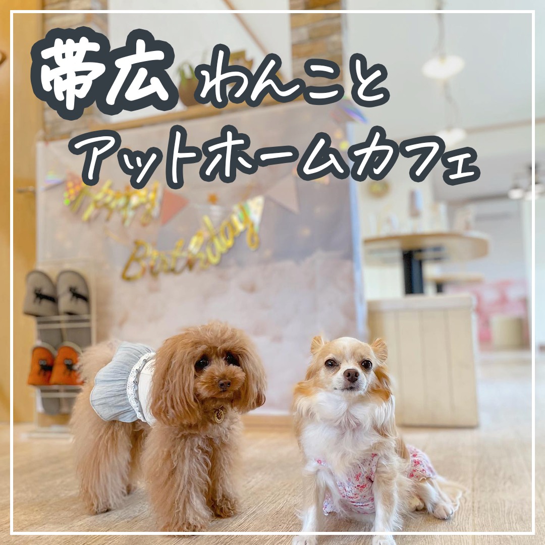 帯広 わんことアットホームカフェ